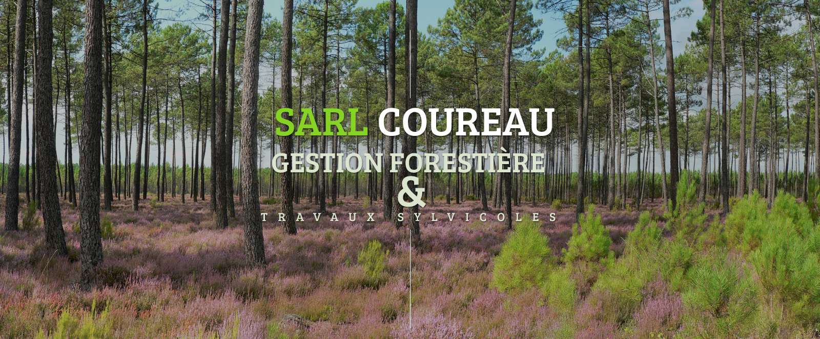 Sarl Coureau